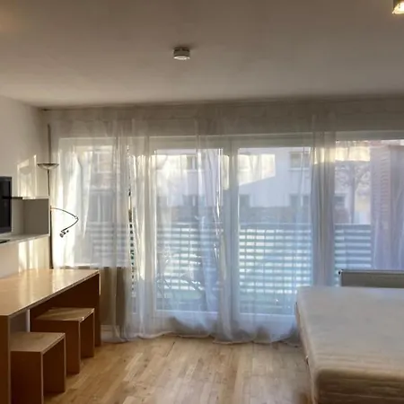Wonderful With Sauna Apartment *